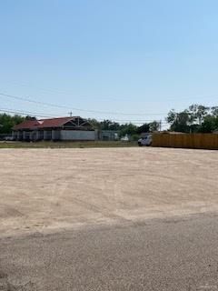 1107 W Citrus Ave, Alamo, TX 78516